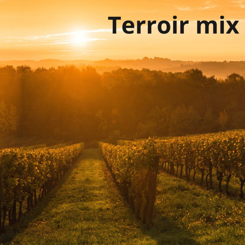 Terroir MIX | Alkohouse.cz